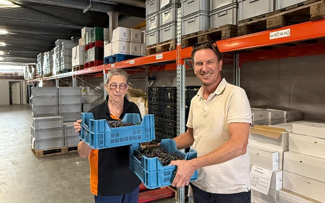 Particulier initiatief van Eindhovense ‘Druivenboer’