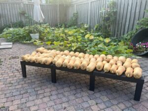 50 Flespompoenen voor onze cliënten 