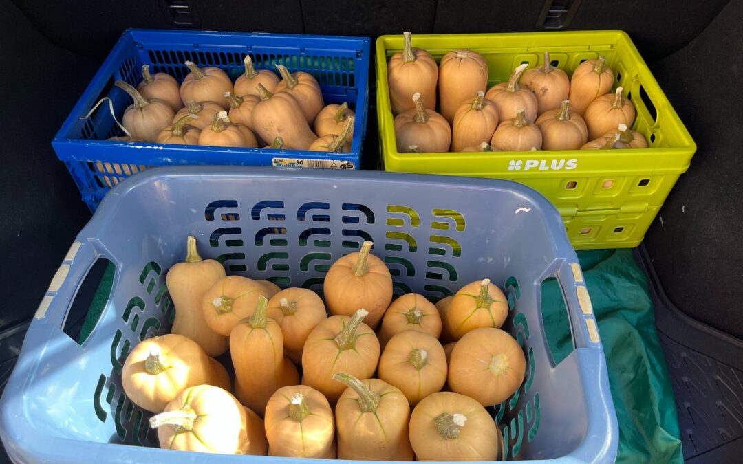 50 Flespompoenen voor onze cliënten